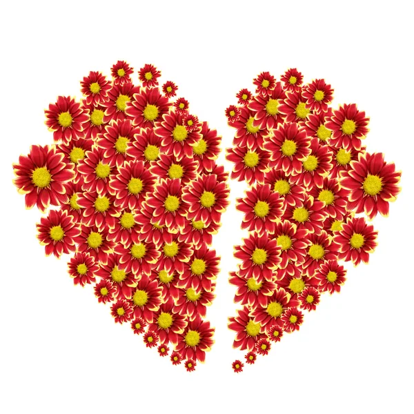 Bellissimo cuore di fiore rosso isolato su sfondo bianco — Foto Stock