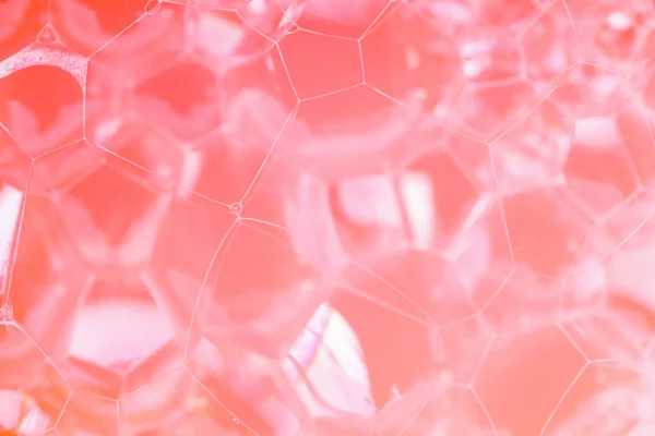 Abstract of pink bubble for background — Stock Photo, Image