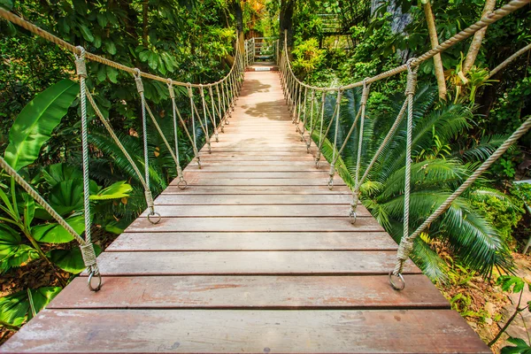 Trä-bron i trädgården, Thailand — Stockfoto