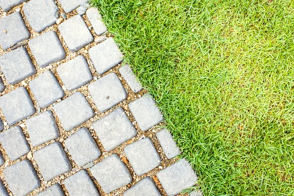 Stenen pad in de tuin — Stockfoto