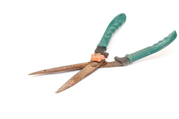 Old and rusty garden scissors — Stock Photo, Image