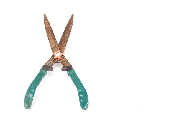 Old and rusty garden scissors — Stock Photo, Image