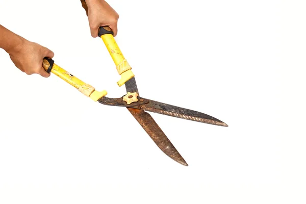 Hands holding Old garden scissors — Stock Photo, Image