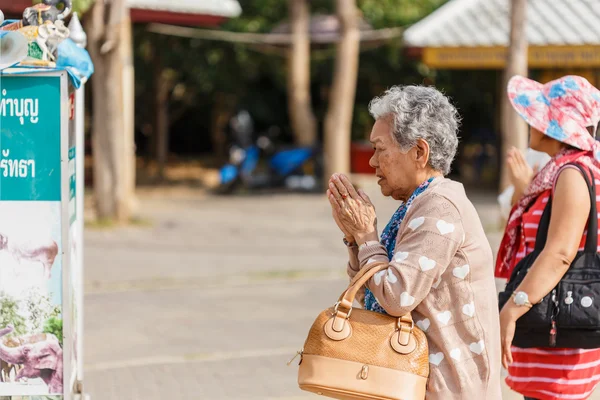 扫管笏清迈欣赏不明老女人儿歌 — 图库照片