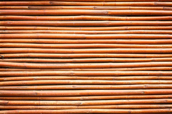 Backgroud texture bambou — Photo