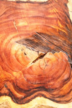 ahşap doku arkaplanı