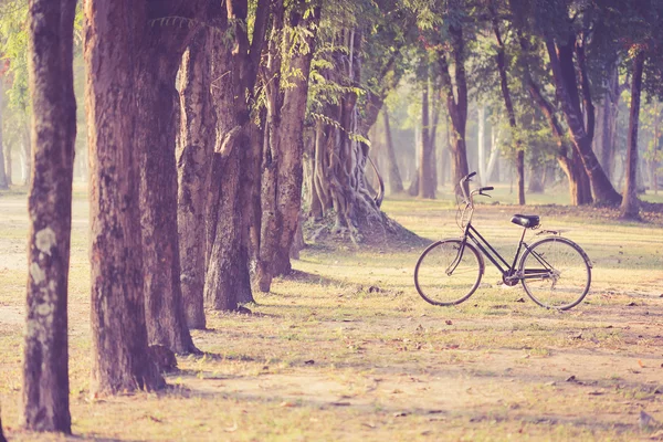 Zabytkowych rowerów w Sukhothai Historical Park — Zdjęcie stockowe