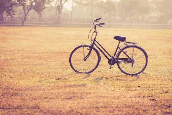 Oldtimer-Fahrrad im historischen Park von Sukhothai — Stockfoto