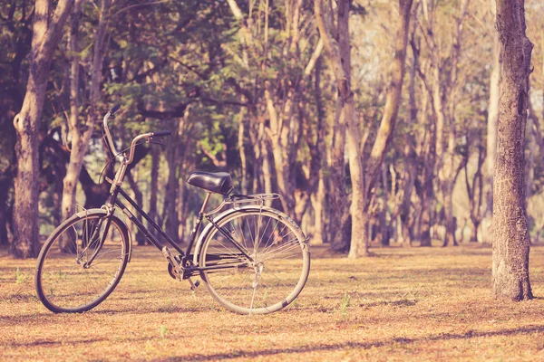 Oldtimer-Fahrrad im historischen Park von Sukhothai — Stockfoto