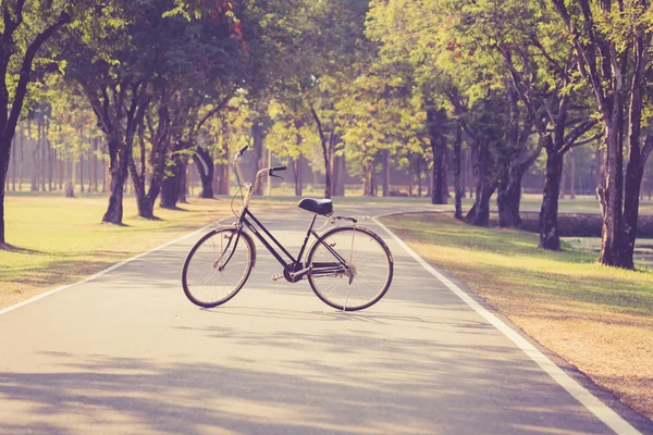 Oldtimer-Fahrrad im historischen Park von Sukhothai — Stockfoto