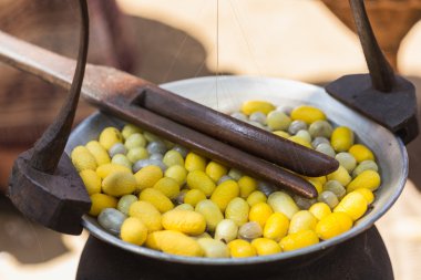 Tencerede kaynayan koza