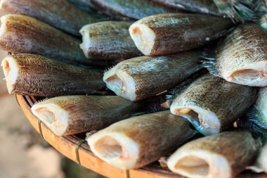 Kuru balık pazarında