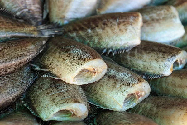Dry fish on market — Stock Photo, Image