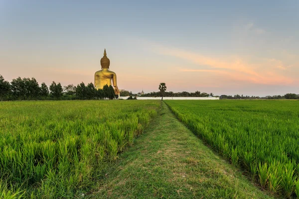 Big golden buddha statue — Stock Photo, Image