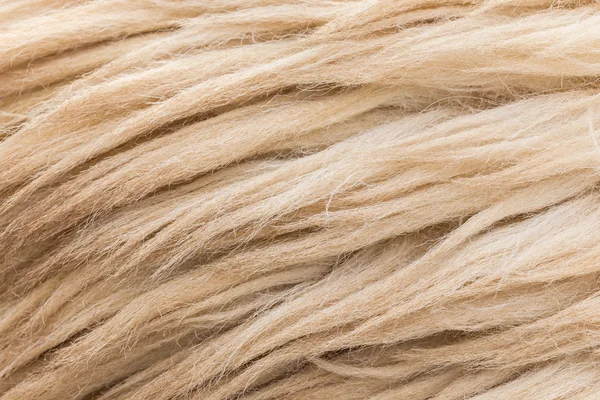 Γκρι μαλλί προβάτων — Φωτογραφία Αρχείου
