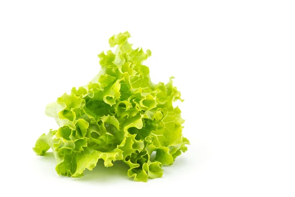 Fresh green lettuce — Stock Photo, Image