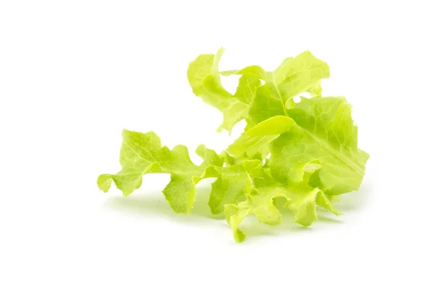 Fresh green lettuce — Stock Photo, Image