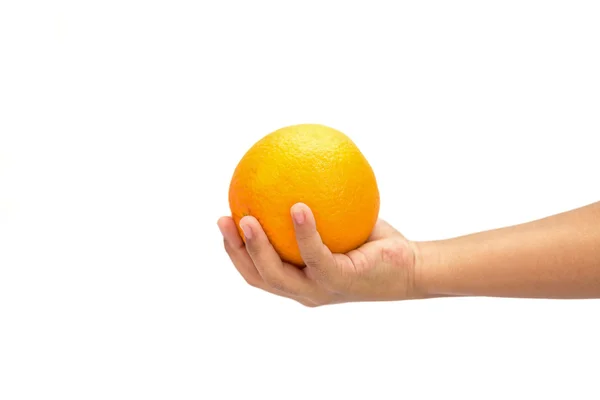 Hand holding  Orange — Stock Photo, Image