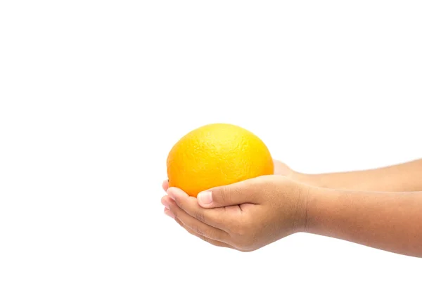 Hand holding  Orange — Stock Photo, Image