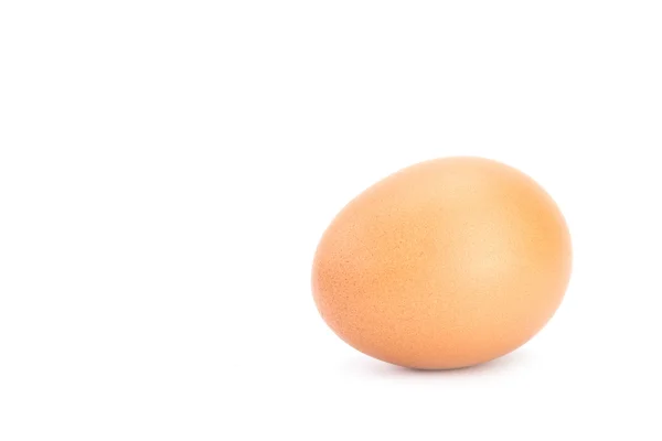 Brown chicken egg — Stock Photo, Image