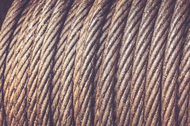 Yağlı büyük askı