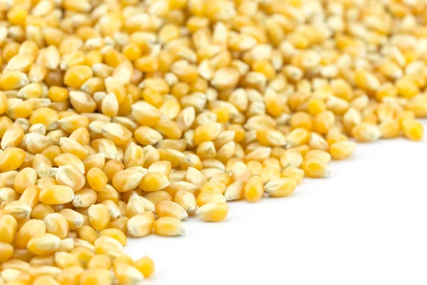 黄色の粒のトウモロコシ — ストック写真