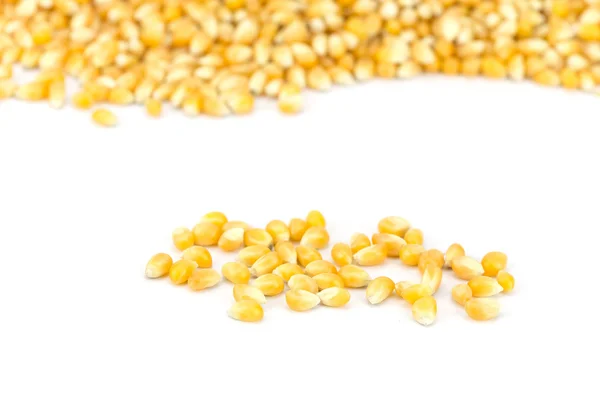 黄粒玉米 — 图库照片