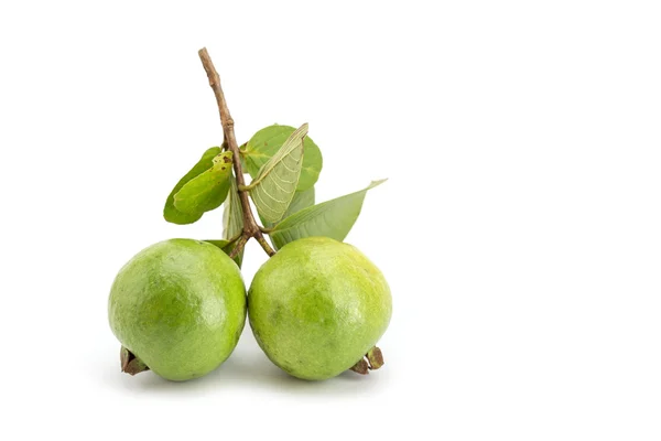 Local Thai green guava — Stock Photo, Image