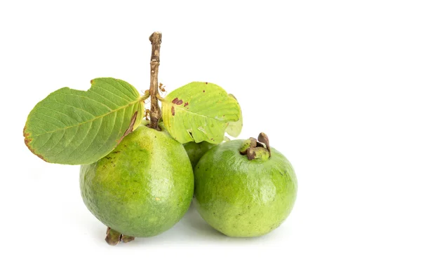 Guava verde tailandese locale — Foto Stock