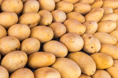 piyasa üzerinde sarı mango