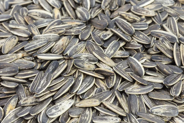 Black Sunflower seeds — Stock Photo, Image