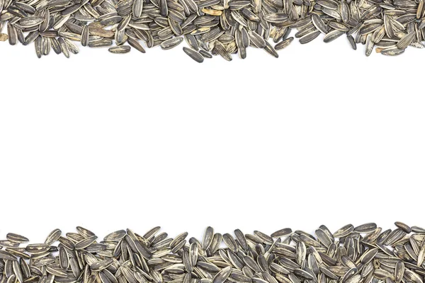 Black Sunflower seeds — Stock Photo, Image