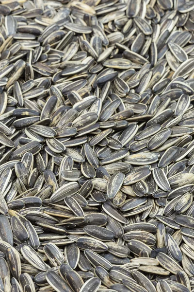 Black Sunflower seeds — Stock Photo, Image