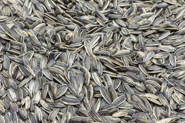 Black Sunflower seeds — Stock Photo, Image