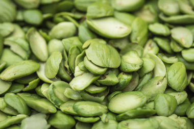 tropikal kokuşmuş yenilebilir fasulye