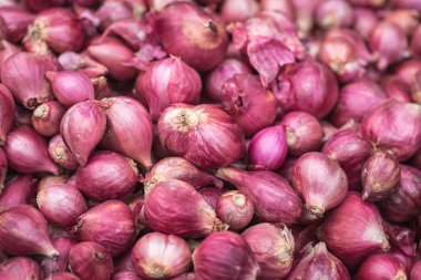 Kırmızı soğan yığını
