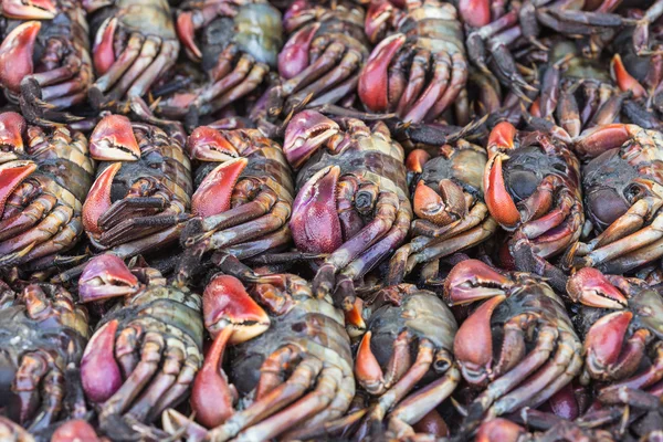 Crabs in fresh market — Stock Photo, Image