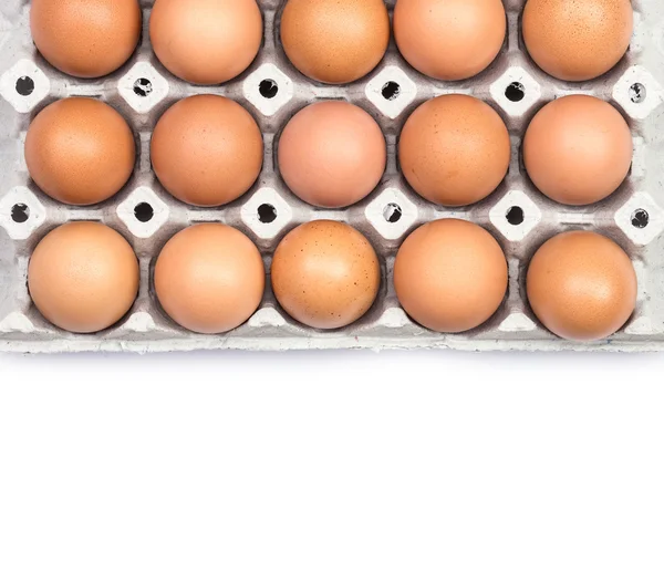 Uova in vassoio di carta — Foto Stock