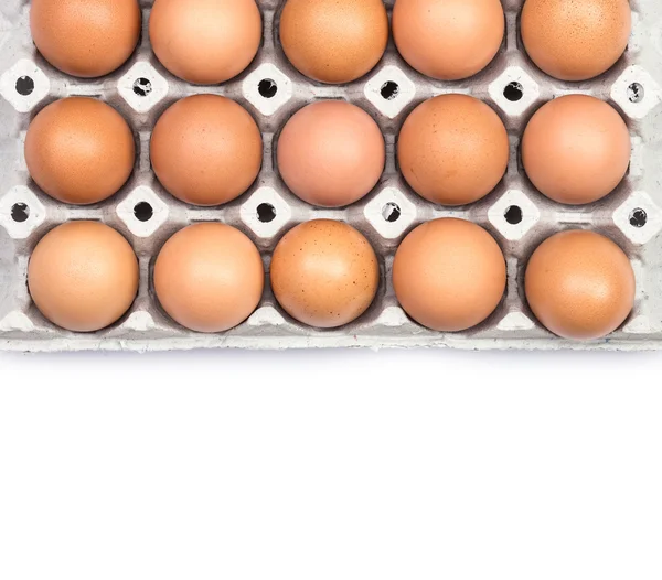 Eggs in paper tray — Stock Photo, Image