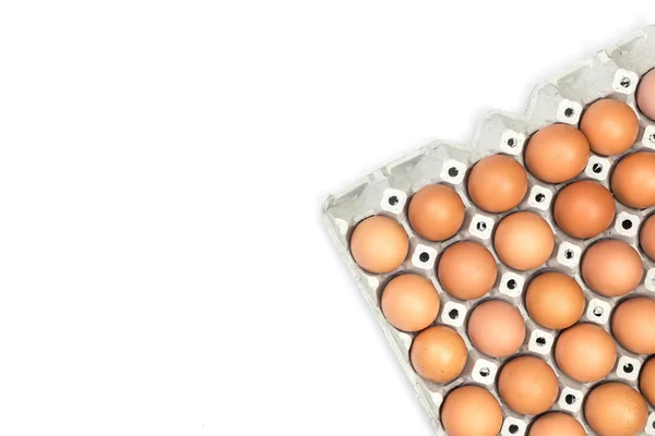Eggs in paper tray — Stock Photo, Image