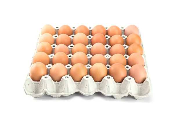 Eggs in paper tray — Stock Photo, Image