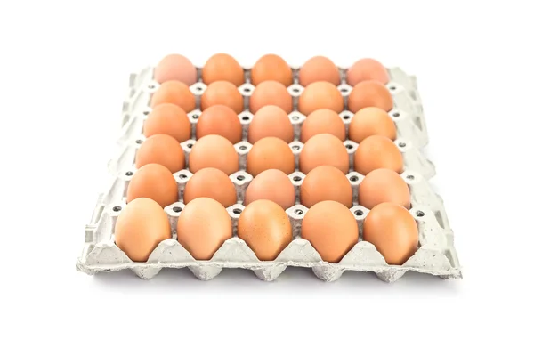 Eggs in paper tray — Stock Photo, Image