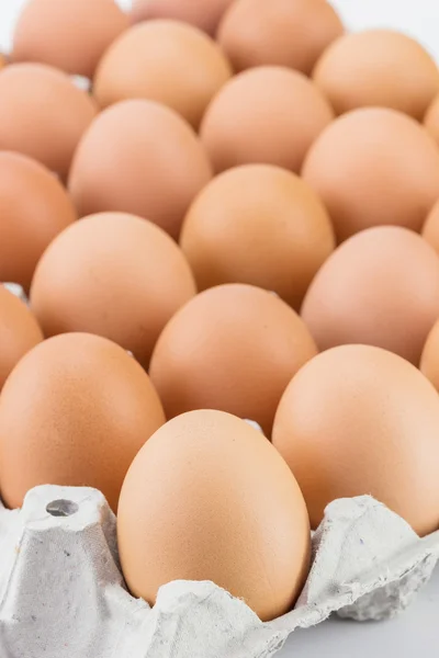 Eggs in paper tray — Stock Photo, Image