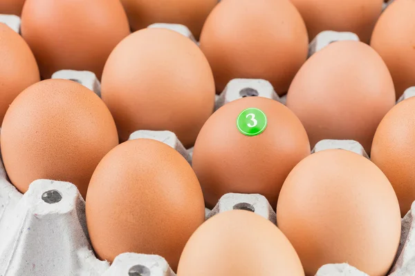 Eggs in paper tray — Stock Photo, Image