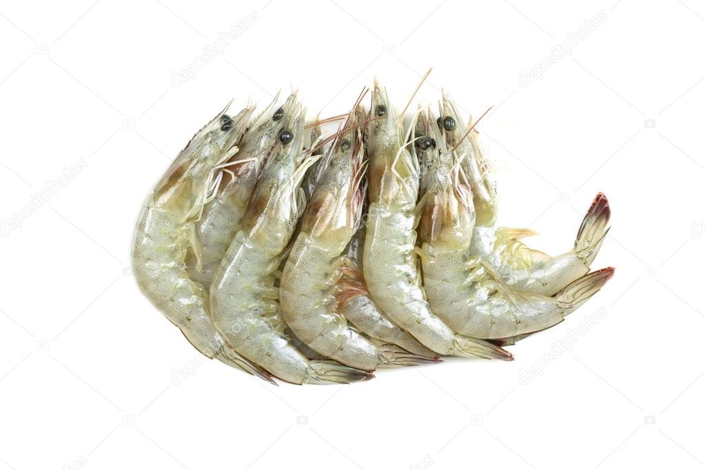 Fresh raw shrimps