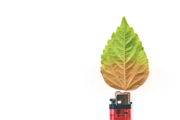 Lighter with green leaf — Stock Photo, Image