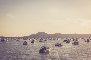 Hızlı tekneler Harbor
