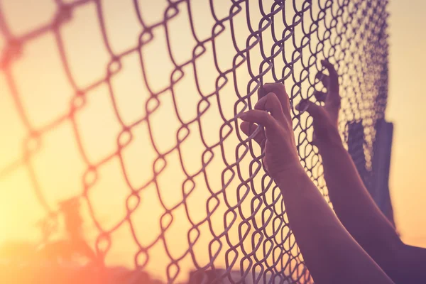 Hands holding on chain link fence — Stock Photo, Image