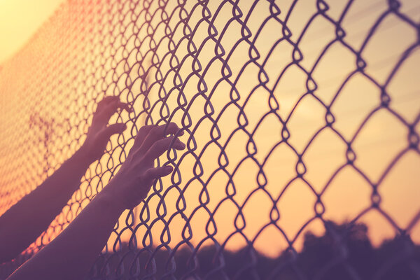 Hands holding on chain link fence
