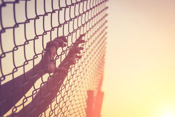 Ruce na drátěný plot — Stock fotografie
